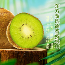 Oriental selection Xu Xiangkiwi 4 7 catty of fresh sour sweet bad fruit bag Odds & Abundant Shipping