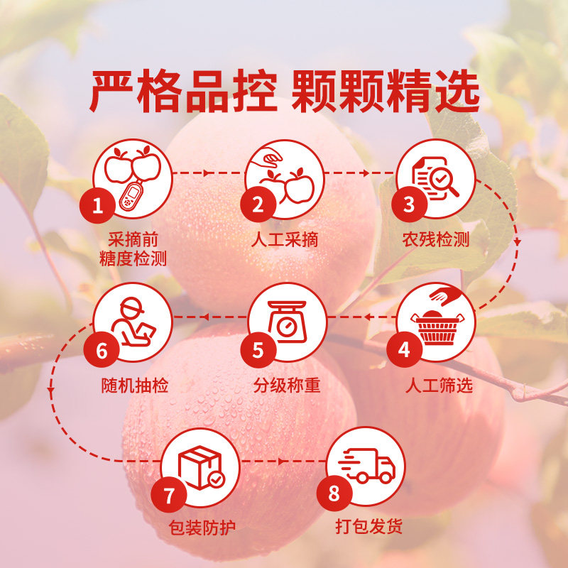 东方甄选阿克苏苹果新疆冰糖心红富士水果新鲜当季整箱过年年货