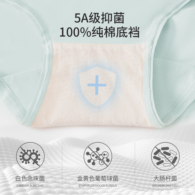  英氏法莱曼内裤