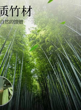 【抢购】包邮大号碳化竹炭拔火罐竹罐竹火罐家用防爆减肥竹筒吸筒
