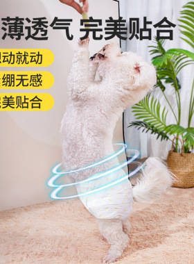 柒哦宠物尿片尿垫加厚狗尿垫除臭
