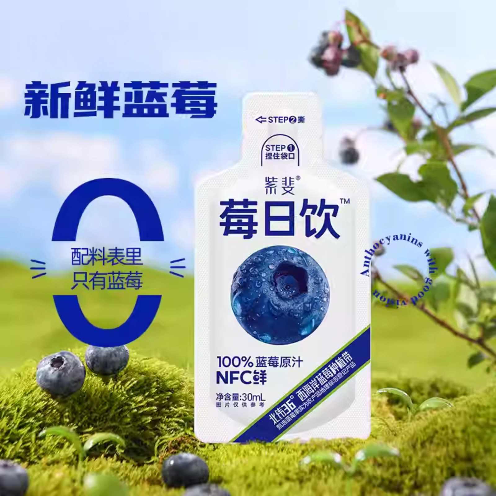 100%蓝莓原汁NFC纯果汁饮料14袋/盒