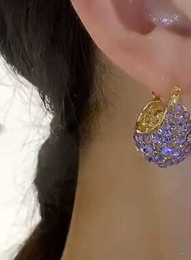 紫色满钻轻奢小提篮超闪耳环