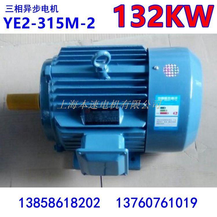 YE3系列马达三相异步电动机YE3-315M-2132KW2极三相异步电机 - 图1