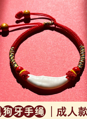 狗牙齿红绳婴儿成人狗牙手链女