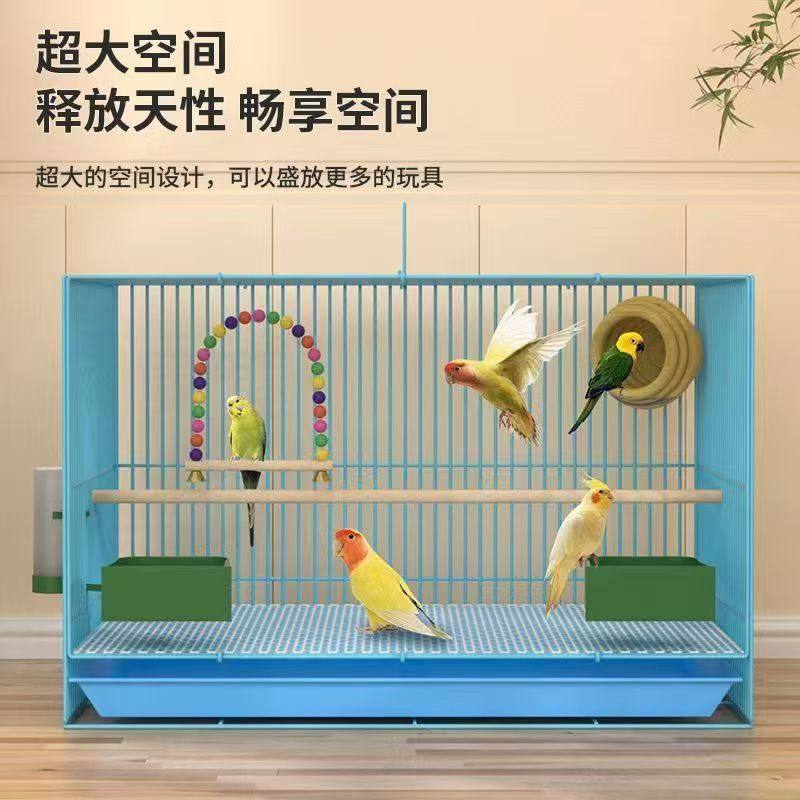 新型鹦鹉生态鸟笼专用外出不锈钢鸟笼子高级高透珍珠高双层画眉玄,淘宝优惠券,粉丝福利购,淘宝优惠卷
