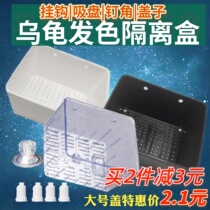 Turtle Isolation Case Isolated Case Turtle Fry Living Black & White Hair Color Box Fish Tank Peacock Fish Hatchbox Feeding Box Much More