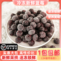 Quick-Frozen Blueberry Frozen Fresh Blueberry 1000g Frozen Fruit Drinks Milk Tea Egg Pastry Fitness Blueberry Jam