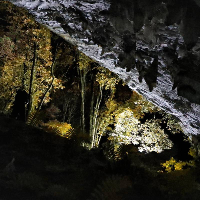 贵州旅游荔波茂兰喀斯特原始森林徒步专业领队摄影2-8人小团2日游-图1