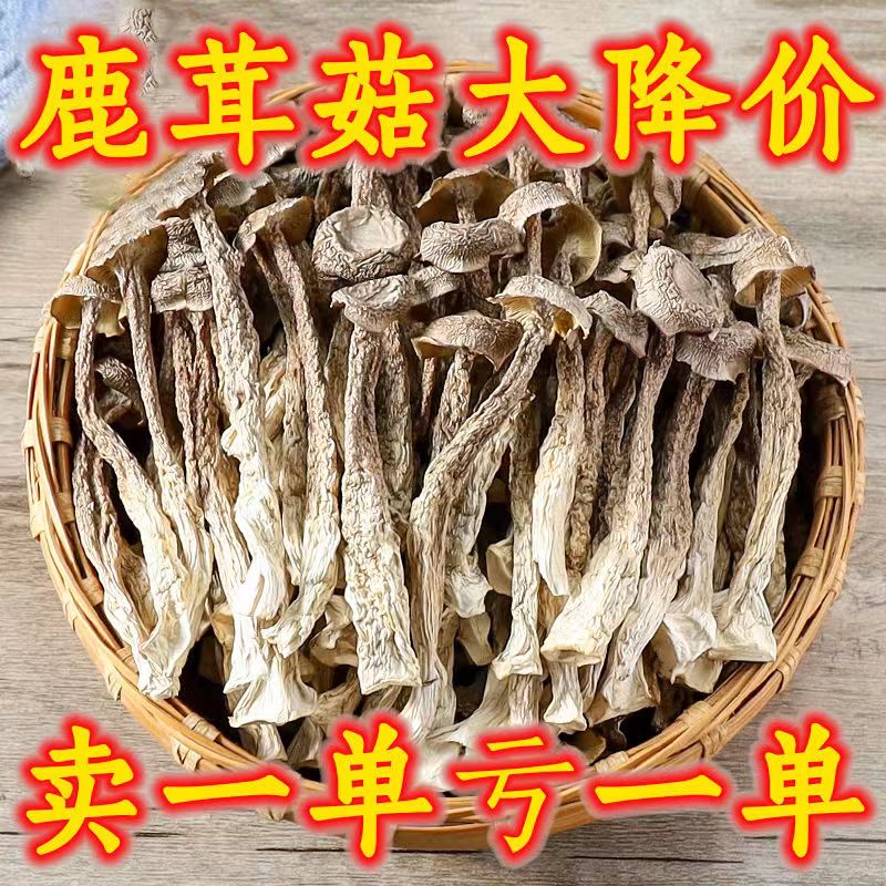 鹿茸菇干货无硫500g无干燥剂包邮古田脆脆菇土特产煲汤食材非香菇-图1