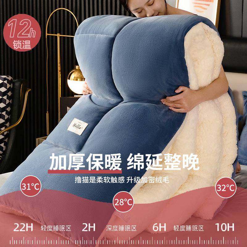 羊羔绒被子2025新款冬季棉被被芯冬天单人宿舍秋冬被加厚保暖10斤,淘宝优惠券,粉丝福利购,淘宝优惠卷