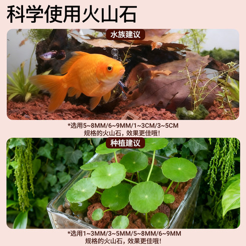 天然火山石颗粒多肉兰花鱼缸底砂专用红火山岩拌土植料花盆铺面石 - 图3