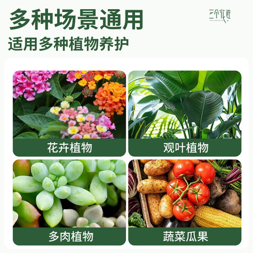 枯草芽孢菌杆菌桂花兰花月季专用农用复合微生物菌剂植物有机肥料 - 图3