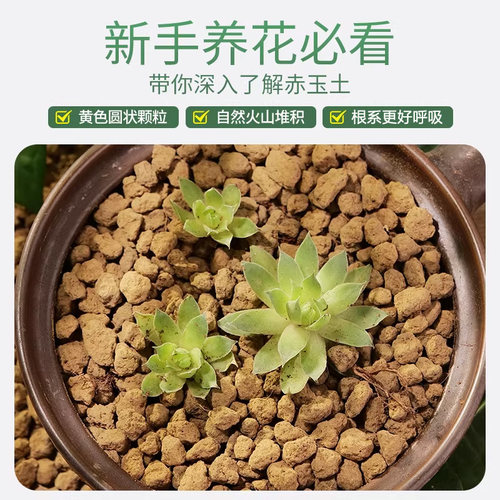 日本进口硬质赤玉土三本线原装大包多肉盆景专用颗粒营养土铺面石 - 图0