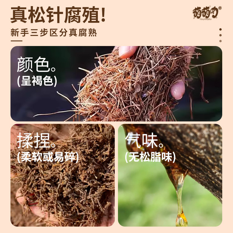 天然松针腐殖土森林腐叶土腐熟君子兰花通用多肉营养土养花专用土,淘宝优惠券,粉丝福利购,淘宝优惠卷