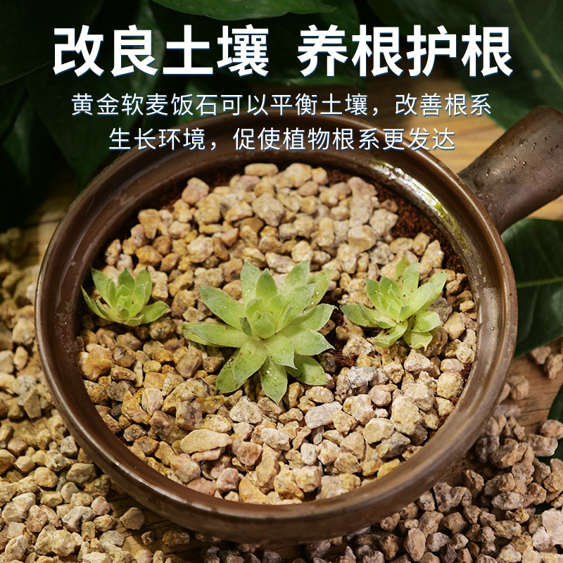 黄金麦饭石颗粒多肉植料拌土多肉铺面石透气无土栽培基质改善土壤,淘宝优惠券,粉丝福利购,淘宝优惠卷