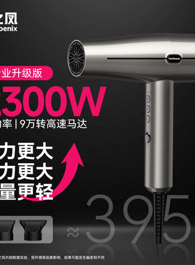 火之凤M3电吹风机理发店发型师专用负离子护发大功率高速吹风筒
