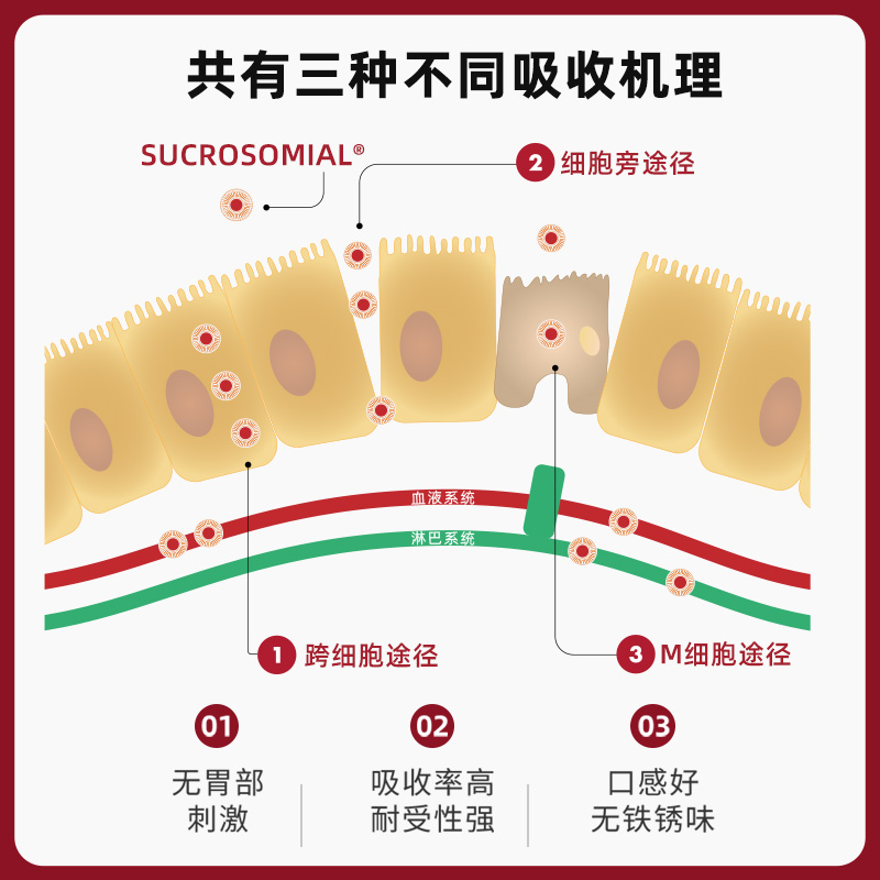 SiderAL 意大利补铁铁剂铁补铁补气血贫血女性维生素铁孕妇补铁