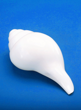 尼泊尔产白海螺佛家右旋生物左旋天然藏式密宗法器家用摆件八供用