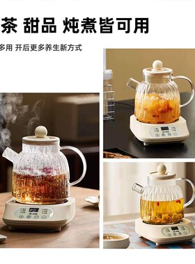 德国小南瓜全玻璃养生壶多功能壶