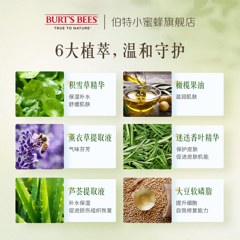  伯特小蜜蜂乳液/面霜