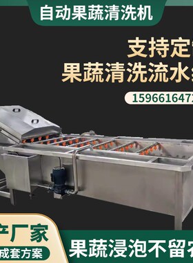 全自动洗c菜机商用不锈钢去农残清洗设备大型果蔬气泡清洗机洗肉