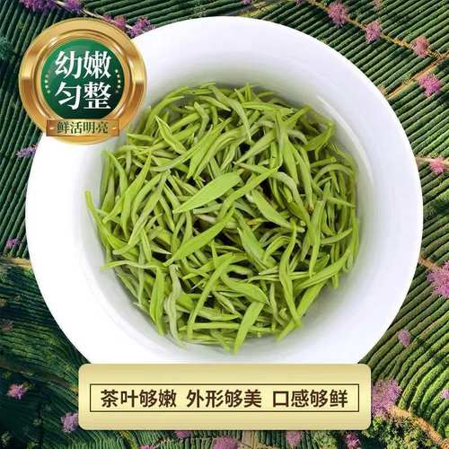 浓香碧螺春明前头采特级新茶茶叶浓香型绿茶高端茶叶礼盒罐装500g-图0