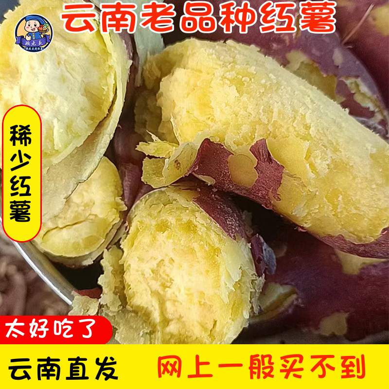 东川板栗红薯老品种云南红薯高原黄金蜜薯烤地瓜粉糯香甜可蒸5斤