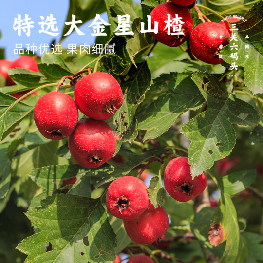 Sanguanliuquan 190g crispy and sweet sour freeze-dried to lock in freshness