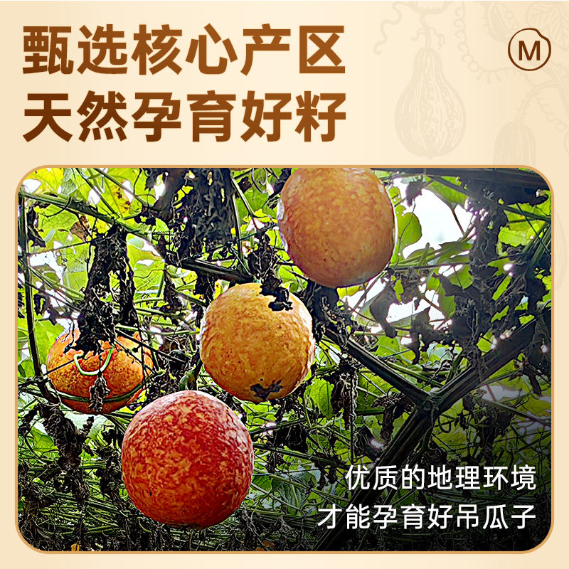 吊瓜子2025新货大颗粒奶油椒盐原味特大瓜蒌零食炒货官方旗舰店,淘宝优惠券,粉丝福利购,淘宝优惠卷