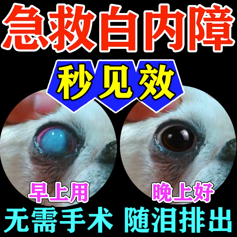 【一滴去障】狗狗白内障滴眼液宠物专用眼药水老年犬抑初期角膜炎 - 图0