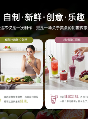 田螺云厨家用多功能冰淇淋机