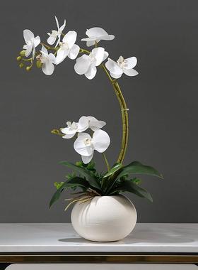仿真蝴蝶兰花艺套装摆件新中式客厅餐桌博古架假花桌面小盆栽装饰