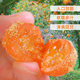 Bibi Miaofei Special Grade Xinjiang Dried Kumquats 500g