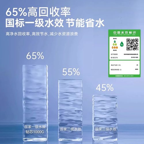 PurePlus1200gro反渗透净水器家用补贴800g1000g直饮厨下式净水机 - 图0