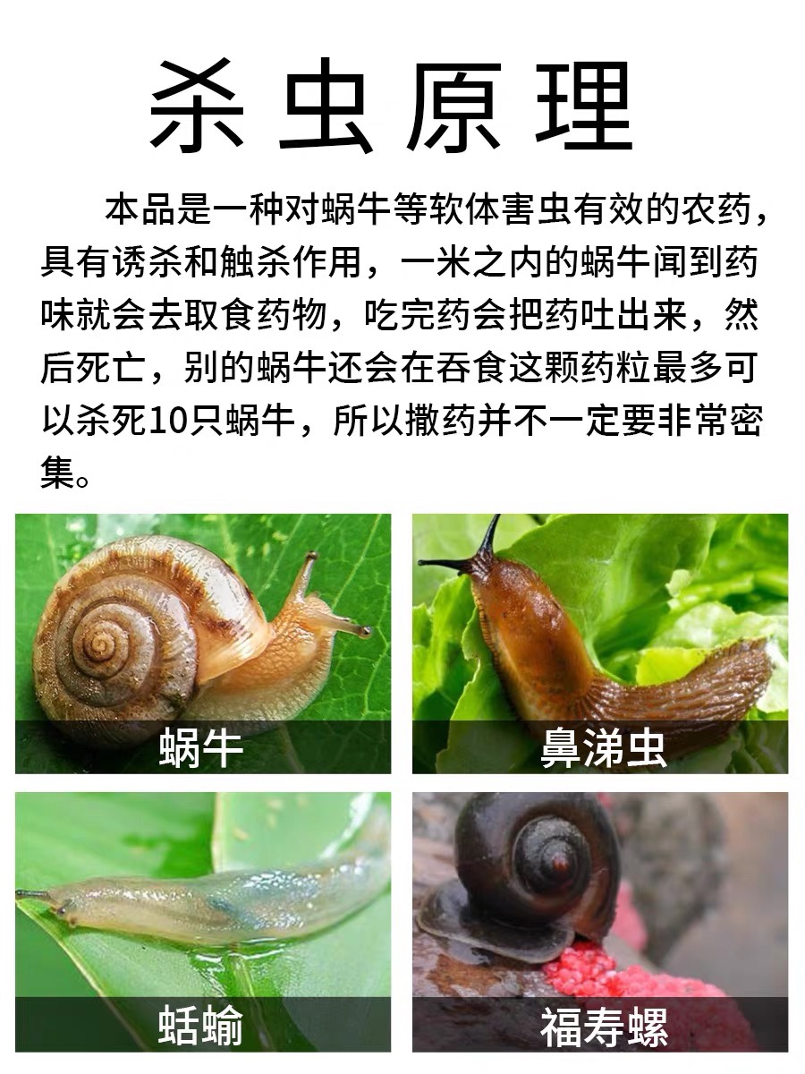 蜗牛药菜地杀蜗牛药鼻涕虫专用四聚乙醛四聚乙酫颗粒灭蜗牛杀虫剂 - 图1