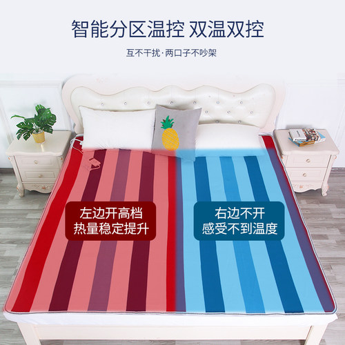 电热毯单人双人双控三人加大加厚智能调温除螨宿舍安全防水电褥子 - 图1