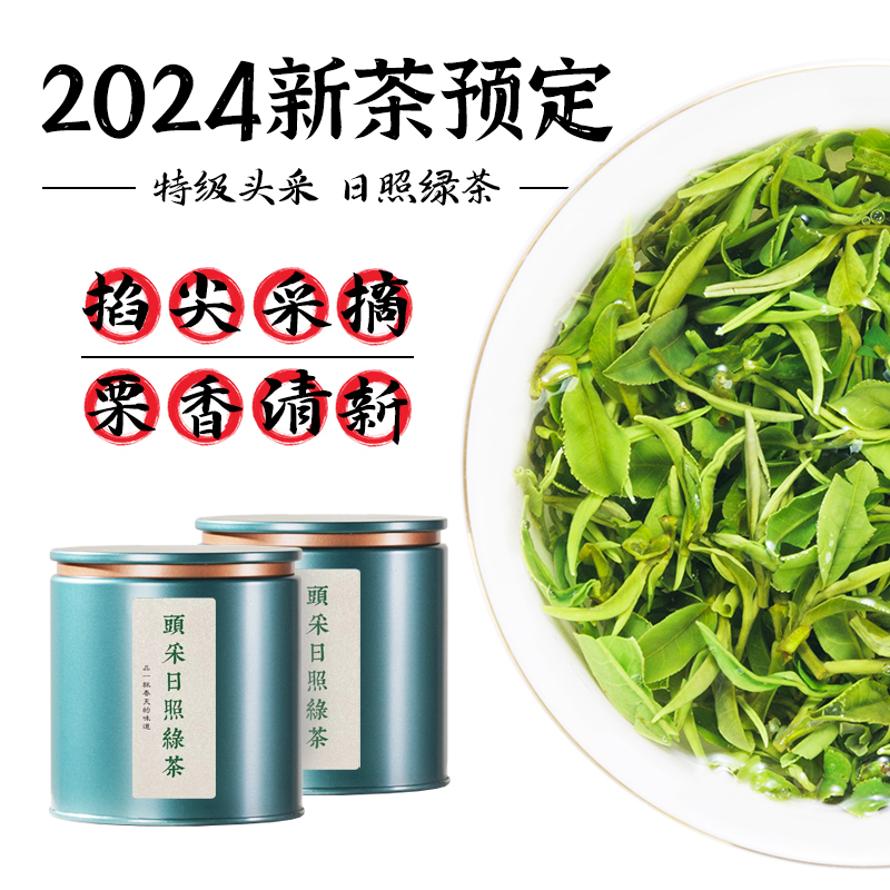 日照绿茶2024年新茶特级早春茶叶正宗板栗浓香礼盒装旗舰店正品 - 图0