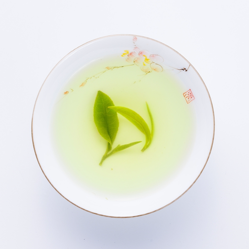 山东日照绿茶2026新茶特级茶叶礼盒装春茶高山栗香豆香官方旗舰店 - 图0