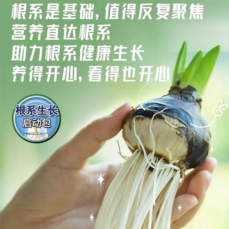 水培植物营养液通用型碗莲睡莲专用观音竹富贵竹郁金香铜钱草绿萝,淘宝优惠券,粉丝福利购,淘宝优惠卷