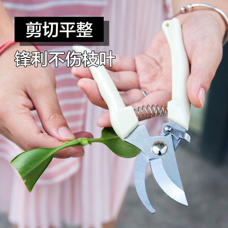 园艺剪刀花卉绿植物园林花剪修枝剪采摘果树专用工具花艺剪刀神器,淘宝优惠券,粉丝福利购,淘宝优惠卷