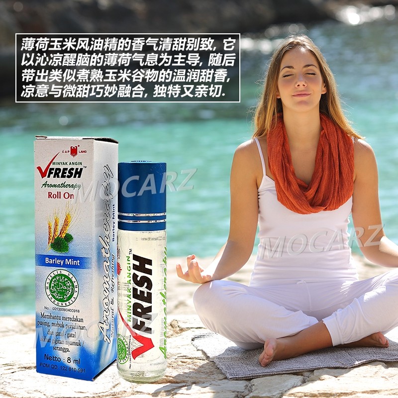 新加坡发货鹰标VFRESH滚珠芳香味清凉油提神醒脑消除疲劳止痒 8ml,淘宝优惠券,粉丝福利购,淘宝优惠卷