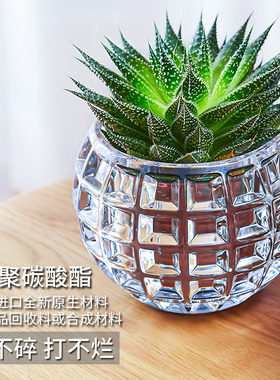 可爱多肉花盆手绘PC创意小号家用