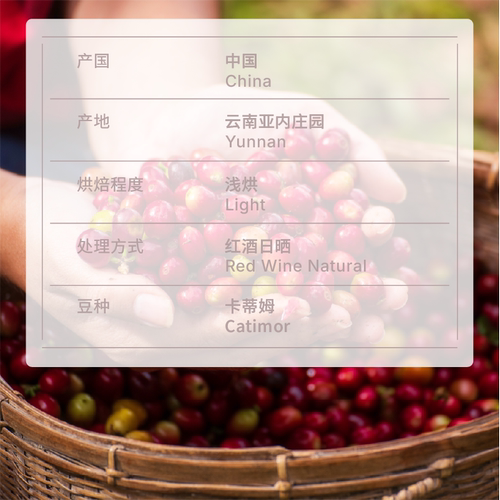 abit云南亚内庄园红酒日晒卡蒂姆SOE浅烘焙意式咖啡豆227g - 图1