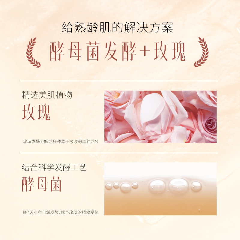 仙语雪光酵母原浆面膜6片/盒【玫瑰发酵】全成分仅4种·水润肌肤 - 图1