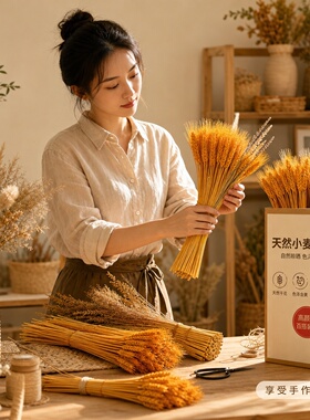 天然黄金大麦干花束福袋钱袋子客厅摆设件金黄麦穗装饰乔迁仿真花