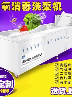 厂家机械人参花清洗机 臭氧喷淋铁苋菜清洗设备 商用茵陈篙清洗机