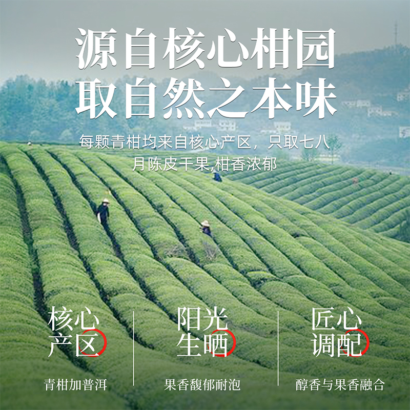 七春茶叶小青柑云南普洱茶熟茶新会陈皮柑普茶袋装自己喝250g-图0