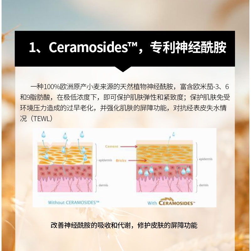 【买4送2  顺丰发货】LUXMETIQUE4R晚安修护再生美容饮抗皱泛红烂