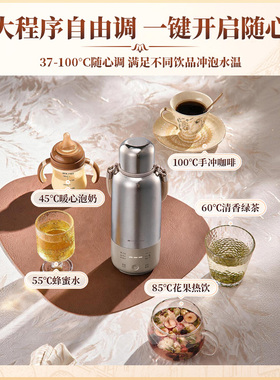 英国宝威玛纯钛双模电热烧水杯